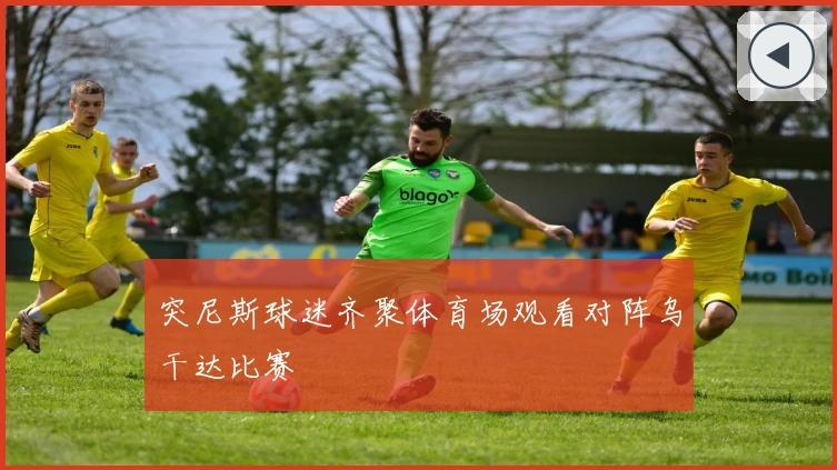 突尼斯球迷齐聚体育场观看对阵乌干达比赛